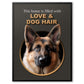 Love & Dog Hair - Custom Dog Portrait