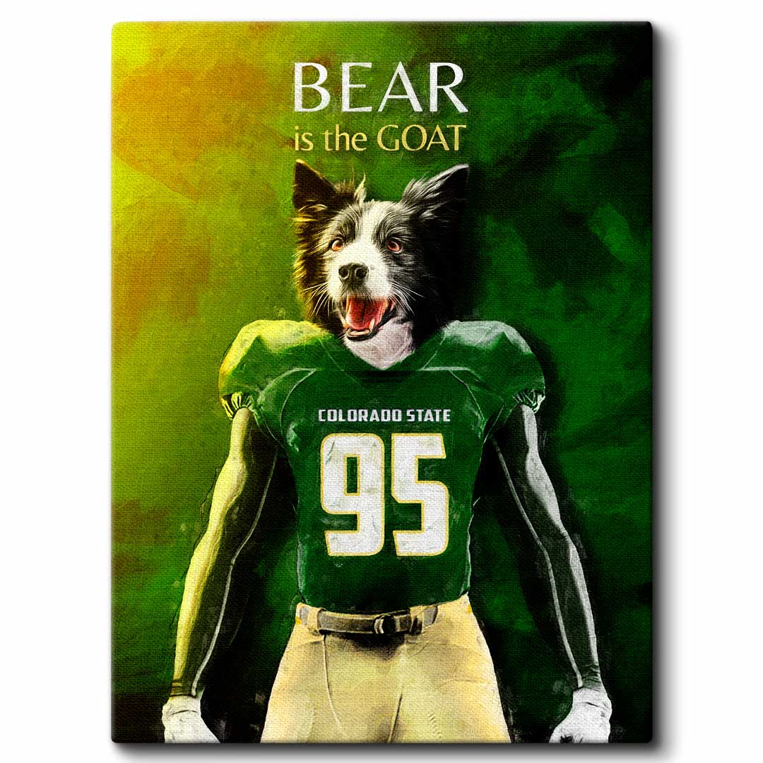 Colorado State - Football Pet Portrait