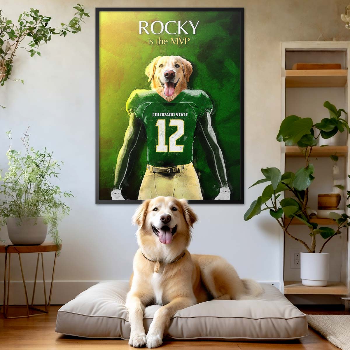 Colorado State - Football Pet Portrait