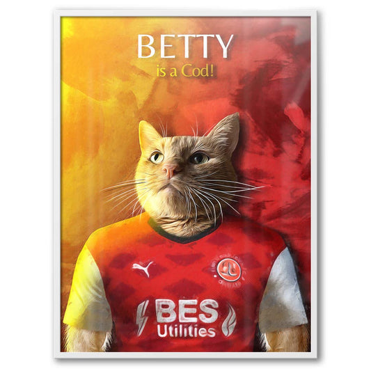 Fleetwood - Football Pet Portrait