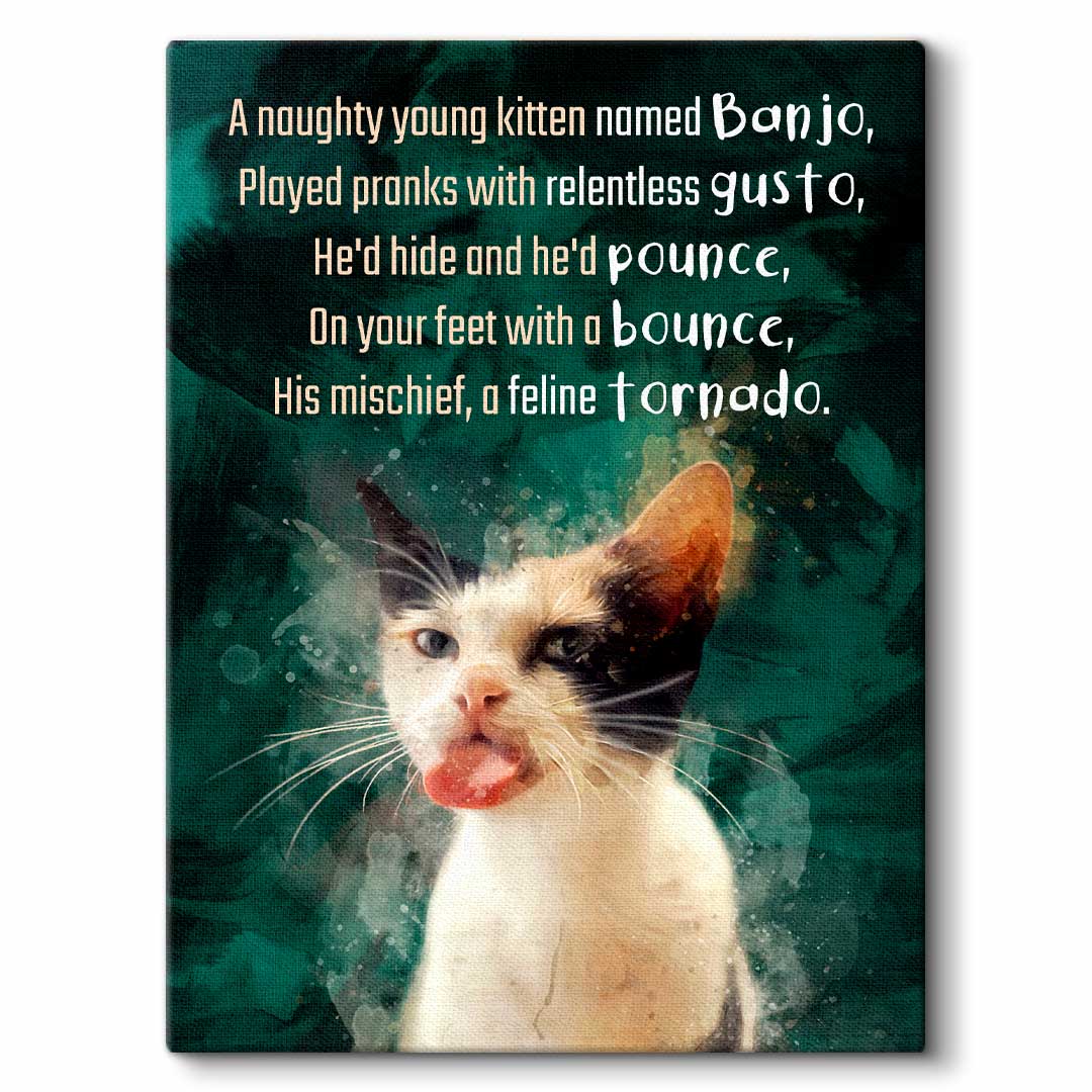 Cat Limerick - Custom Pet Poetry