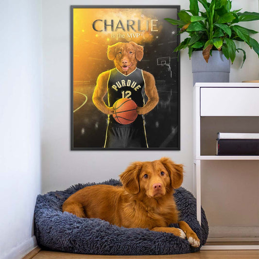 Boiler - Basketball Pet Portrait
