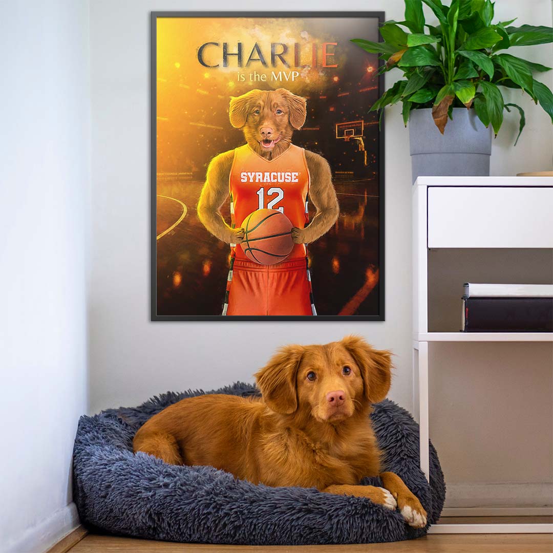 Syracuse - Basketball Pet Portrait